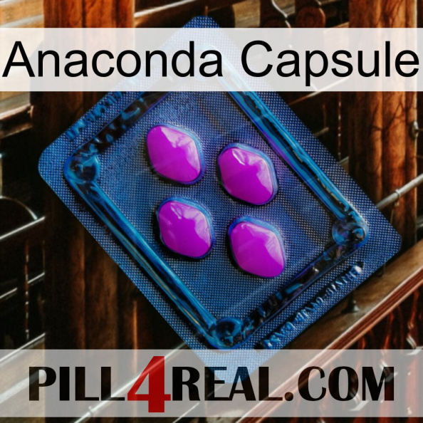 Anaconda Capsule 04.jpg